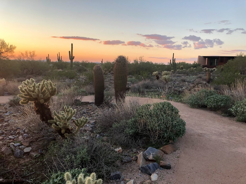 I’ve seen the same landscape in a Dr. Seuss book.